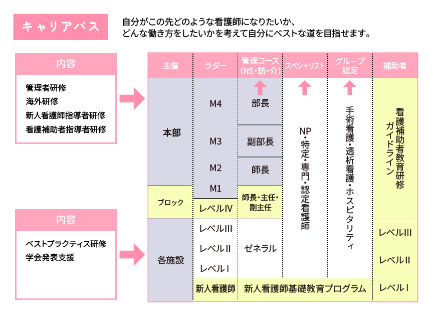 キャリアパス